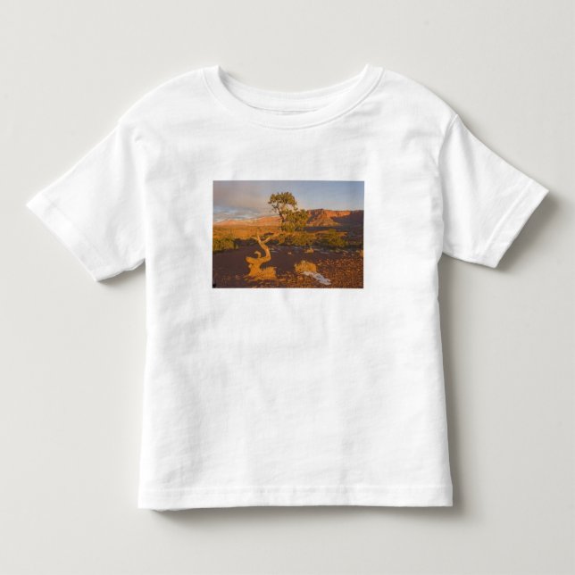 Camiseta Infantil Uma árvore de Juniperus osteosperma em (Frente)