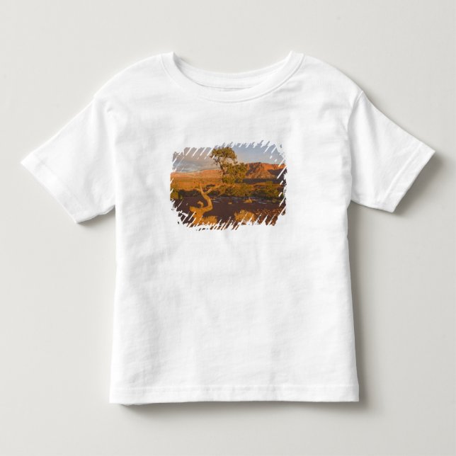 Camiseta Infantil Uma árvore de Juniperus osteosperma em (Frente)