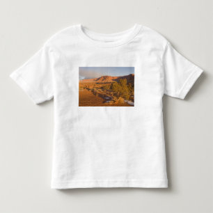Camiseta Infantil Uma árvore de Juniperus osteosperma em 2