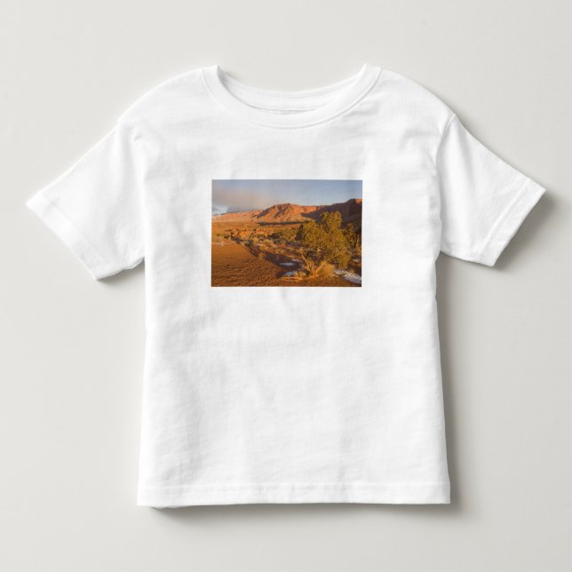 Camiseta Infantil Uma árvore de Juniperus osteosperma em 2 (Frente)