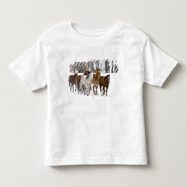 Camiseta Infantil Uma cena de inverno de corrida (Frente)