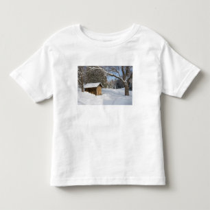 Camiseta Infantil Uma cena nevada no Little Lyford Pond da AMC