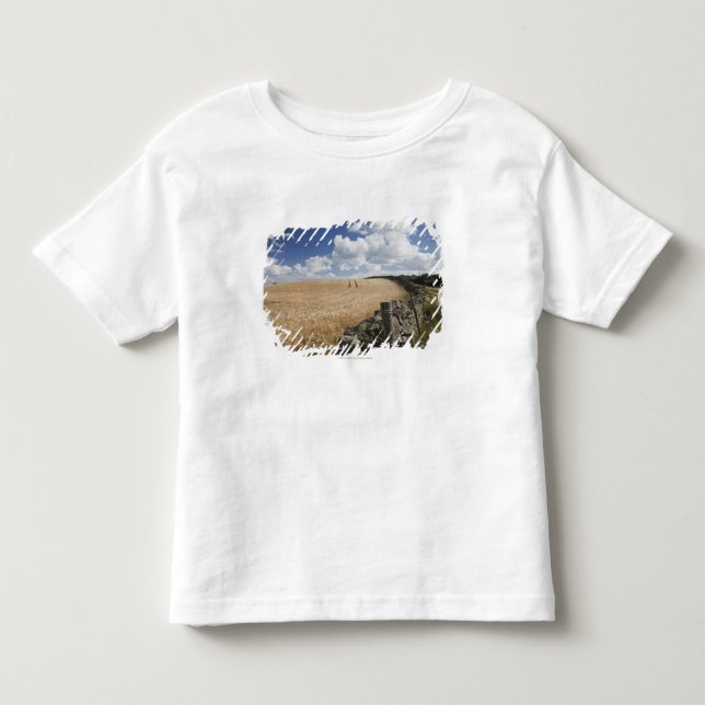 Camiseta Infantil Uma cerca do arame farpado construída ao longo de (Frente)
