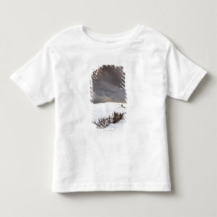 Camiseta Infantil Uma cerca quebrada ao longo de um campo coberto de