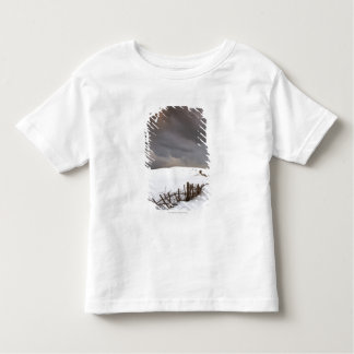 Camiseta Infantil Uma cerca quebrada ao longo de um campo coberto de