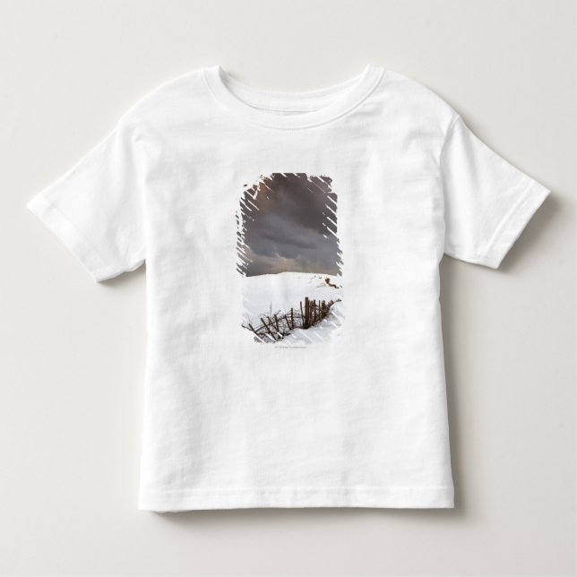 Camiseta Infantil Uma cerca quebrada ao longo de um campo coberto de (Frente)