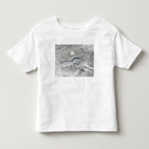 Camiseta Infantil Uma cobertura relativamente rara do gelo