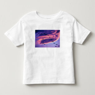 Camiseta Infantil Uma composição fotográfica de grous-da-sibéria em