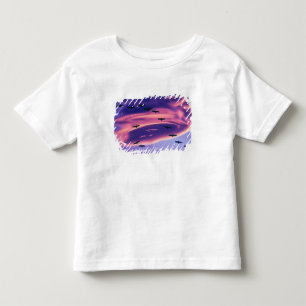 Camiseta Infantil Uma composição fotográfica de grous-da-sibéria em