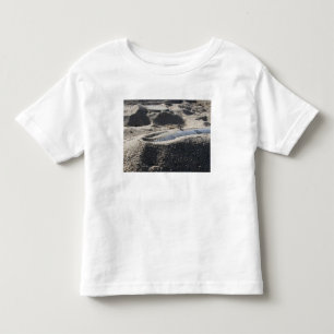 Camiseta Infantil Uma exposição estática de um escudo da ordenan