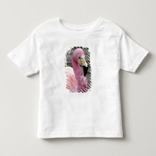 Camiseta Infantil Uma foto cativa de um Flamingo Andino