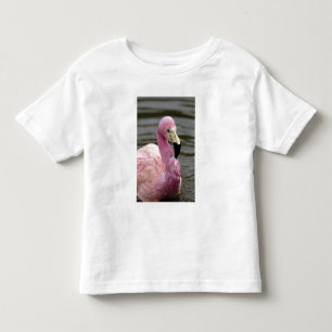Camiseta Infantil Uma foto de um Flamingo Andino em cativeiro