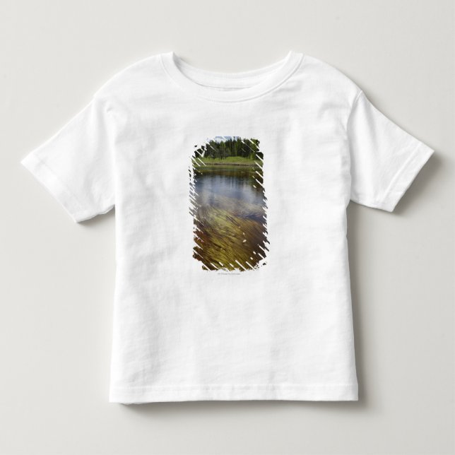 Camiseta Infantil Uma lagoa imóvel que reflete as nuvens (Frente)