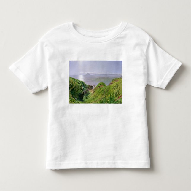 Camiseta Infantil Uma opinião Ailsa Craig e a ilha de Arran, 1860 (Frente)