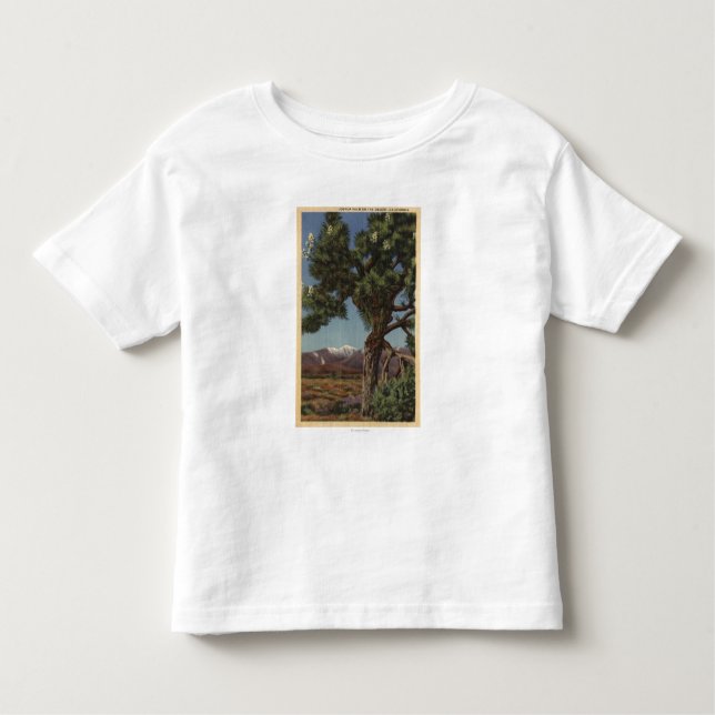 Camiseta Infantil Uma palma de Joshua na flor no deserto (Frente)