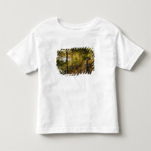 Camiseta Infantil Uma passarela de madeira no Parque Nacional Acadia