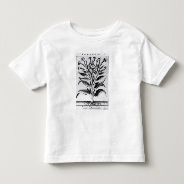 Camiseta Infantil Uma planta de tabaco, 1622 (Frente)