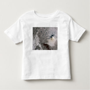 Camiseta Infantil Uma pluma rica em cinzas sobe