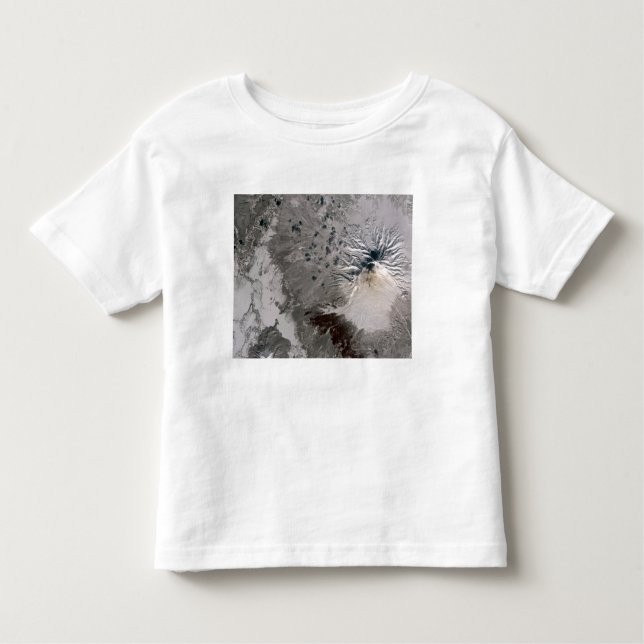 Camiseta Infantil Uma pluma rica em cinzas sobe (Frente)