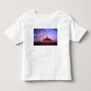 Camiseta Infantil Uma roda gigante e carrossel no Navy Pier em