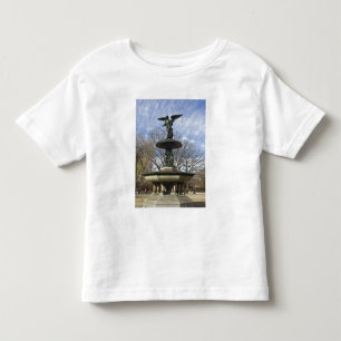 Camiseta Infantil Uma seca fonte Bethesda no inverno em Central Park