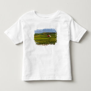 Camiseta Infantil Uma vista panorâmica de um celeiro em Moscow Idaho