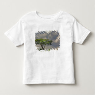 Camiseta Infantil Umbrella Thorn Acacia, Acacia tortilis e 2