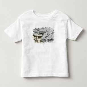 Camiseta Infantil Ungulata ou animais Hoofed