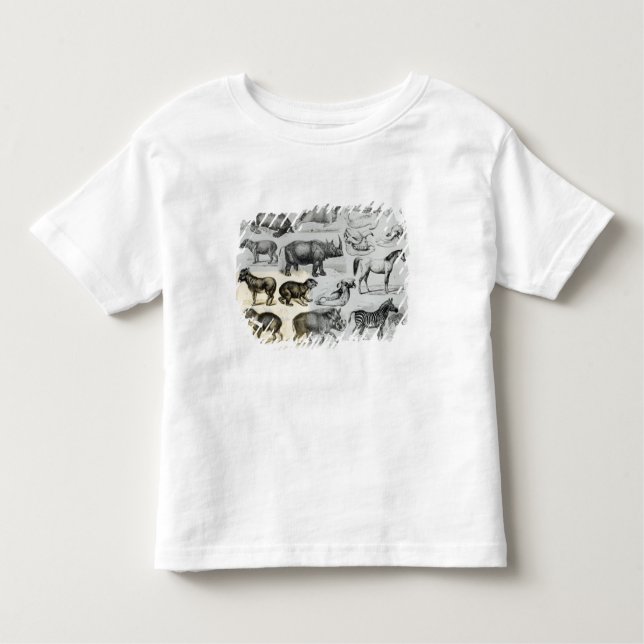 Camiseta Infantil Ungulata ou animais Hoofed (Frente)