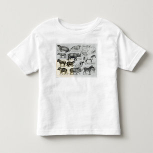 Camiseta Infantil Ungulata ou animais Hoofed