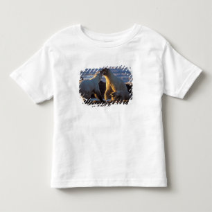 Camiseta Infantil Ursas polares com filhote ao lado, 1002 costeira
