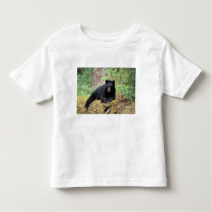 Camiseta Infantil Urso negro em um antigo tronco de crescimento no