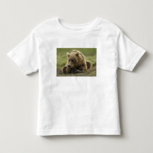 Camiseta Infantil Urso pardo, ou Urso Cinzento Costeiro, Ursus