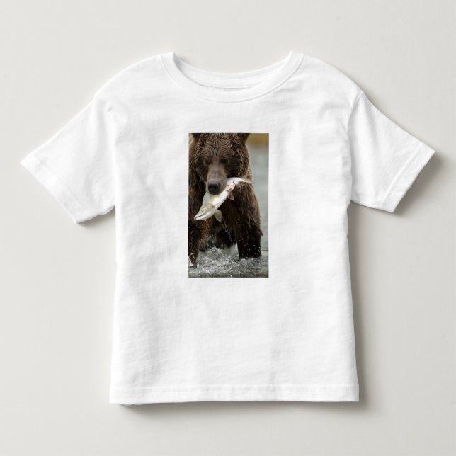 Camiseta Infantil Urso pardo, ou Urso Cinzento Costeiro, Ursus (Frente)