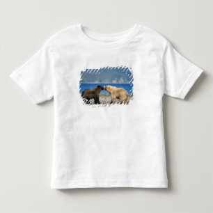 Camiseta Infantil Urso pardo, urso cinzento, brincam na praia,