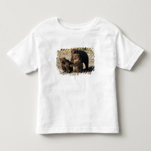 Camiseta Infantil Urso pardo, urso cinzento, porca com filhotes na c