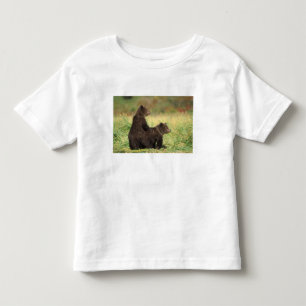 Camiseta Infantil urso pardo, Ursus arctos, urso cinzento, Ursus 2