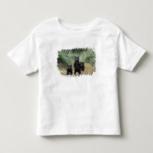 Camiseta Infantil urso pardo, Ursus arctos, urso cinzento, Ursus 7