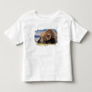 Camiseta Infantil urso pardo, Ursus arctos, urso cinzento, Ursus 8