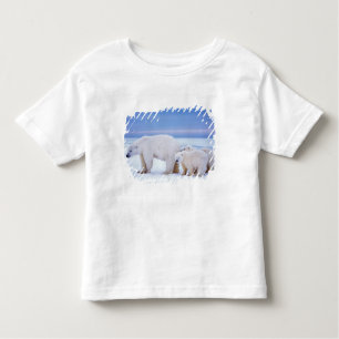 Camiseta Infantil Urso-polar com porcas