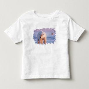 Camiseta Infantil urso polar, Ursus maritimus