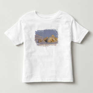 Camiseta Infantil urso polar, Ursus maritimus, fêmea brincando