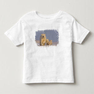 Camiseta Infantil urso polar, Ursus maritimus, fêmea com filhotes re