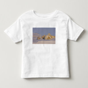 Camiseta Infantil urso polar, Ursus maritimus, porca brincando