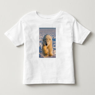 Camiseta Infantil urso polar, Ursus maritimus, urso polar no gelo