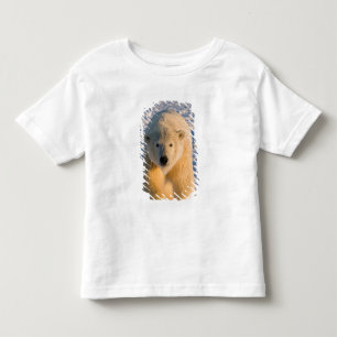 Camiseta Infantil urso polar, Ursus maritimus, urso polar no gelo