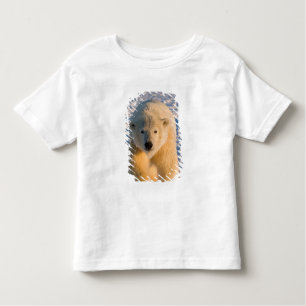 Camiseta Infantil urso polar, Ursus maritimus, urso polar sobre gelo