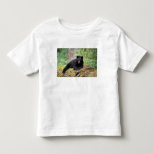 Camiseta Infantil Urso preto em um tronco de crescimento antigo na