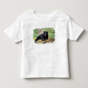 Camiseta Infantil Urso preto em um tronco de crescimento antigo na