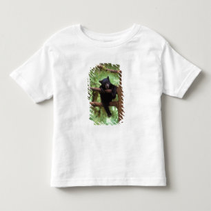 Camiseta Infantil urso preto, Ursus americanus, filhote em uma árvor